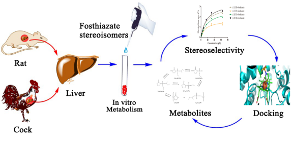 王洪杰教授团队在journalofagricultureandfoodchemistry上